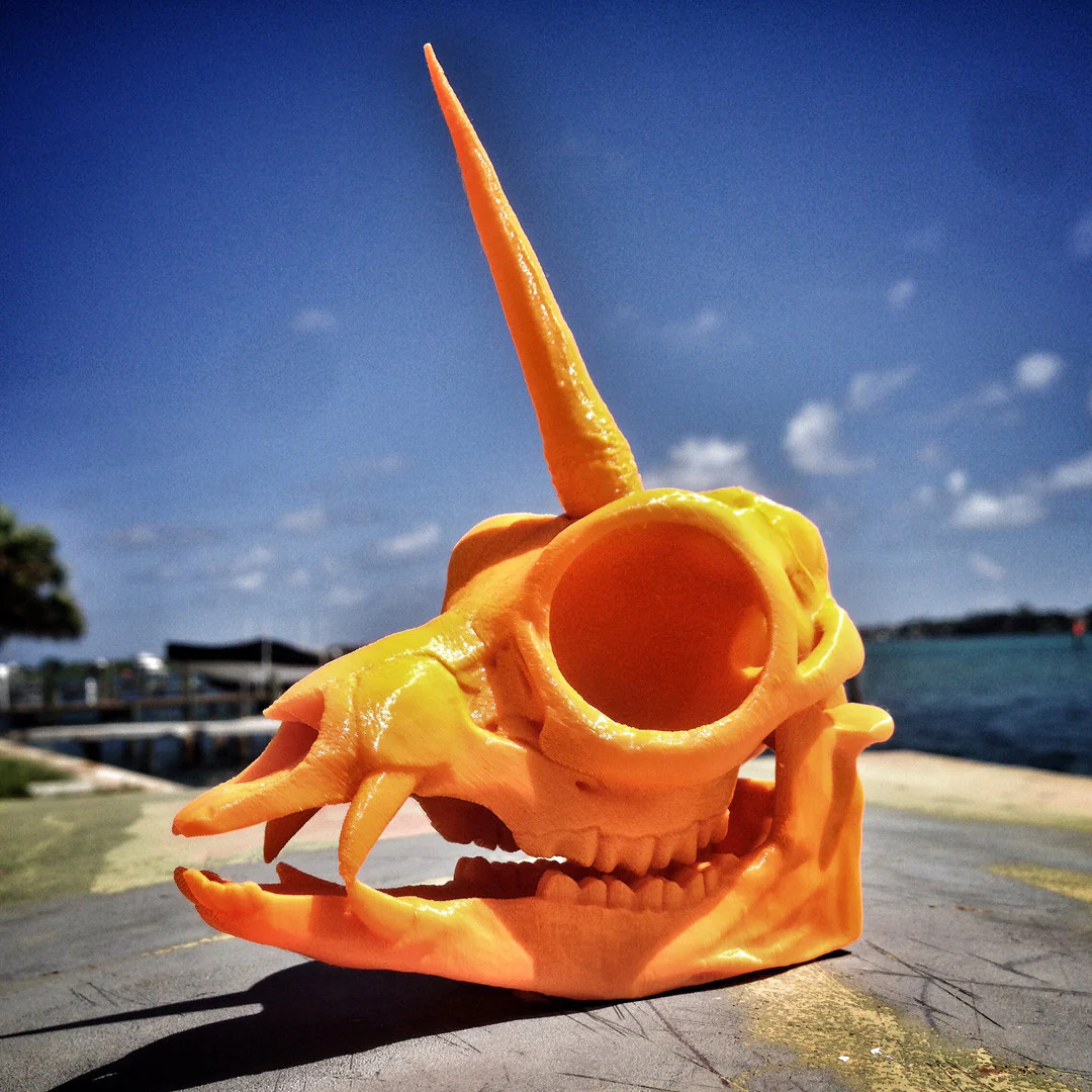 BONEHEADS Master Set - S2 - Image 4