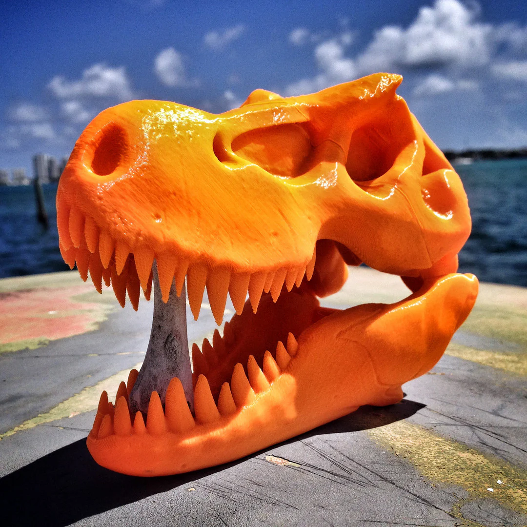 BONEHEADS Redux Set - S2 - Image 6