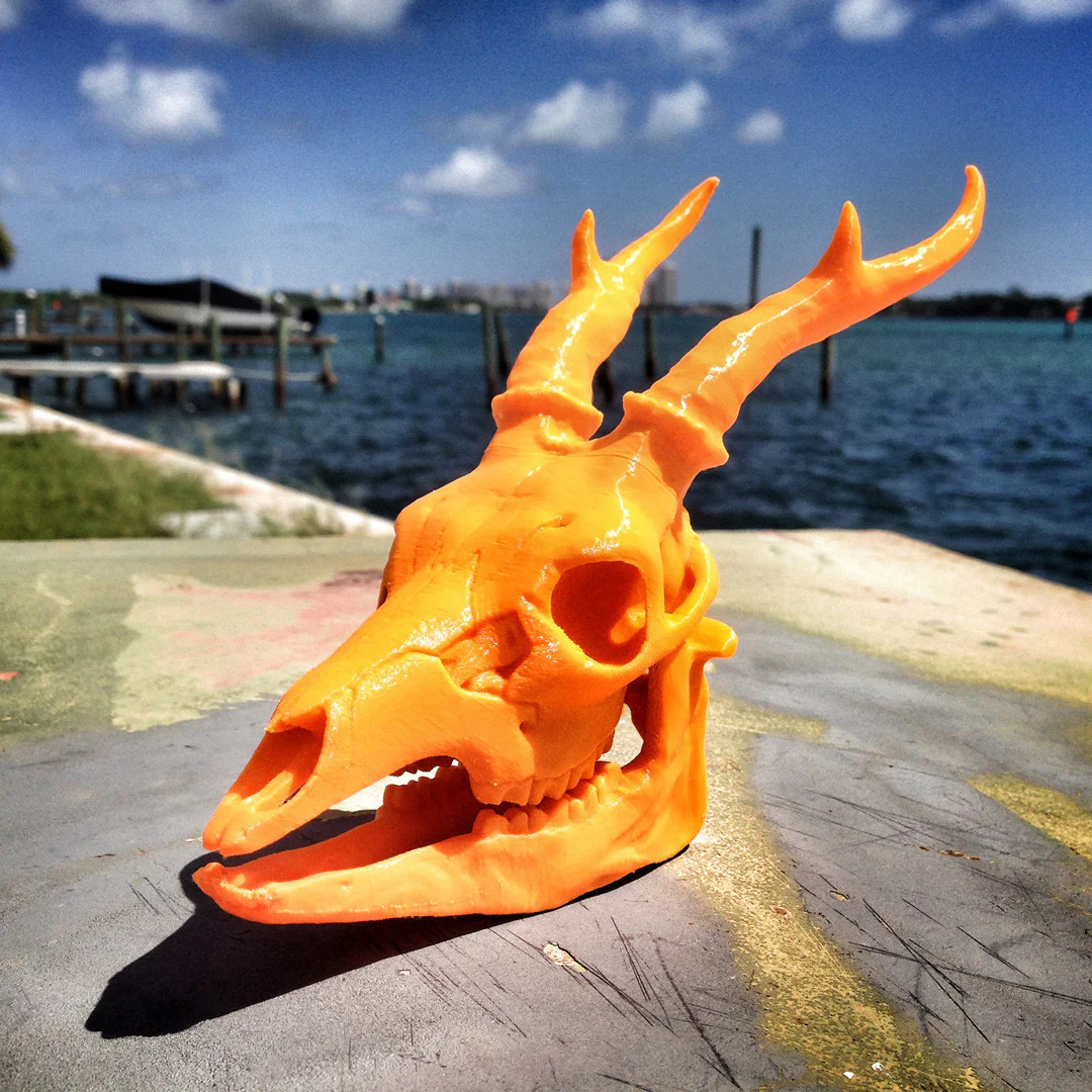 BONEHEADS Redux Set - S2 - Image 7