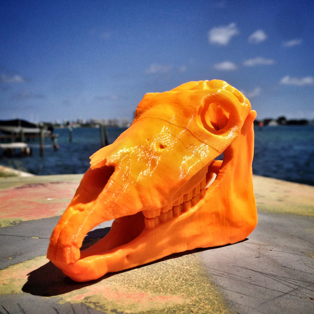 BONEHEADS Authentic Set - S2 - Image 3