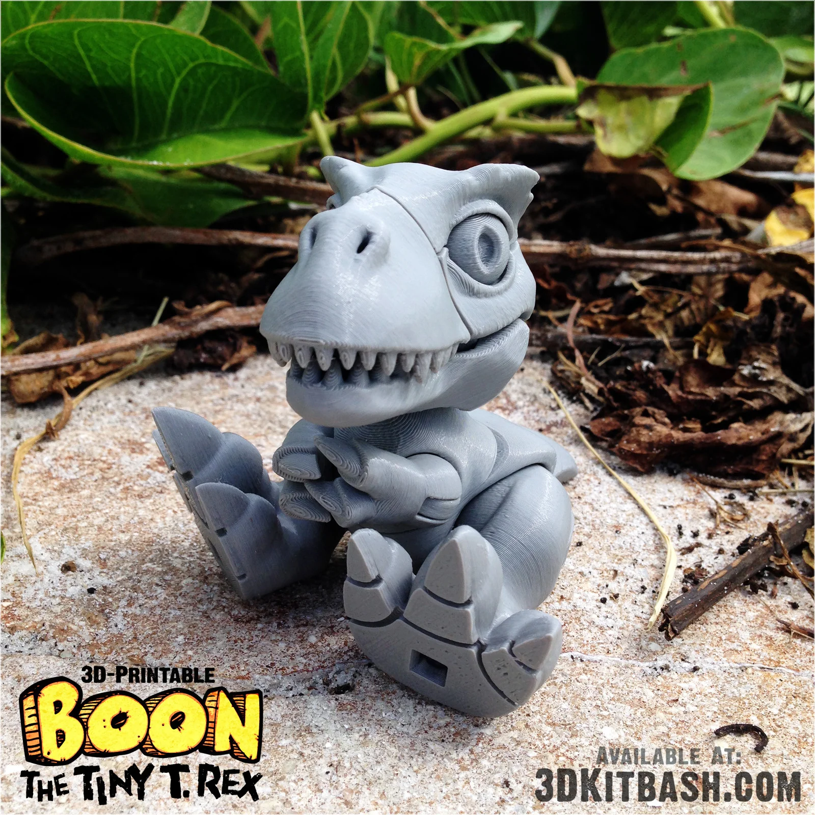 Boon, The Tiny T-Rex - Image 3