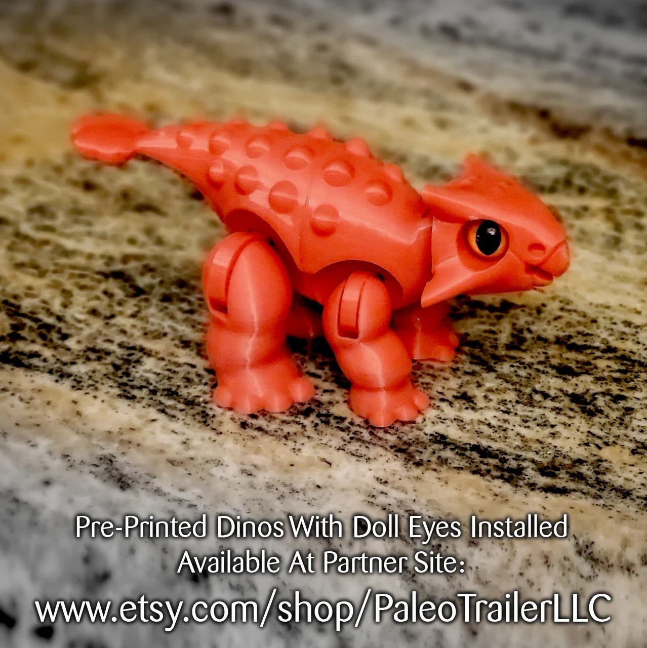 Lil' Dino Pals: Ankylosaurus - Image 6